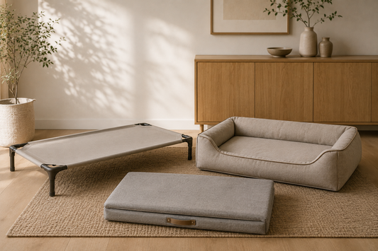 Three dog bed styles — elevated, orthopedic, and crate mat — arranged in a neutral-toned room.