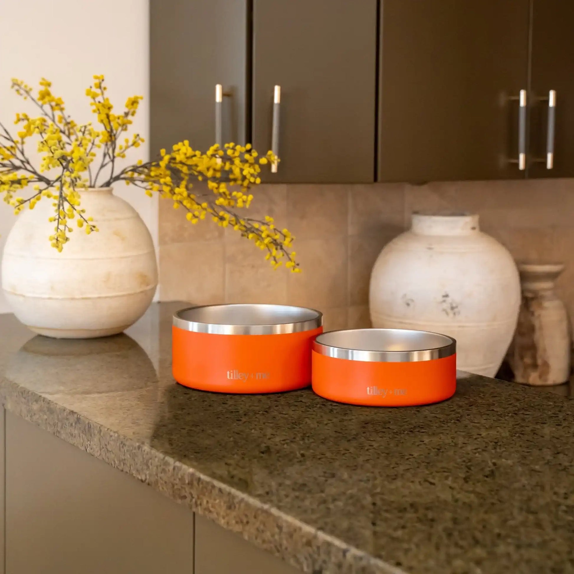 Tilley + Me stainless steel pet bowls in assorted home-friendly colours