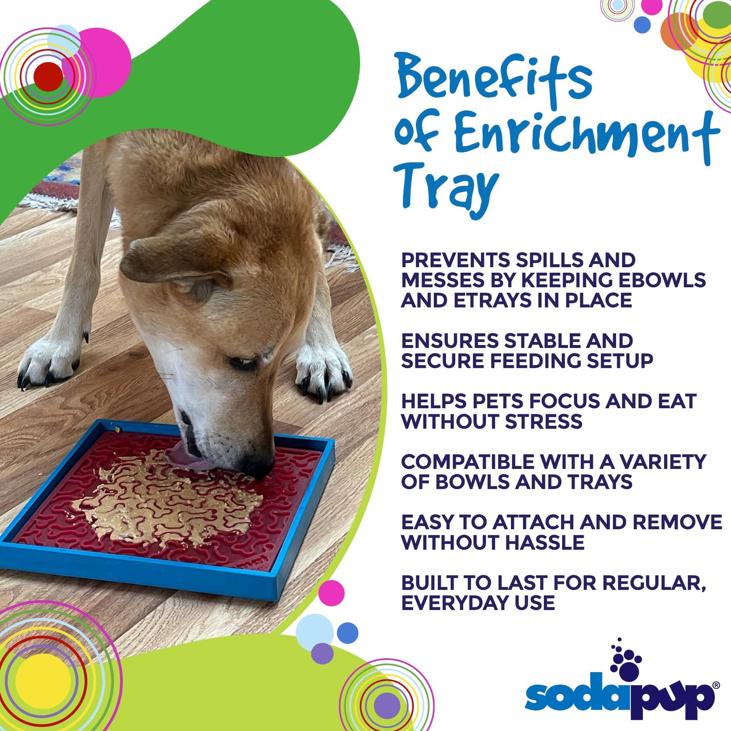 Benefits overview of the Hold 'em suction cup holder for dog bowls