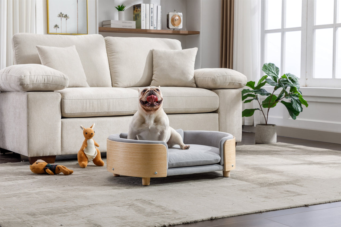 Raised dog bed that keeps a small pet off the floor