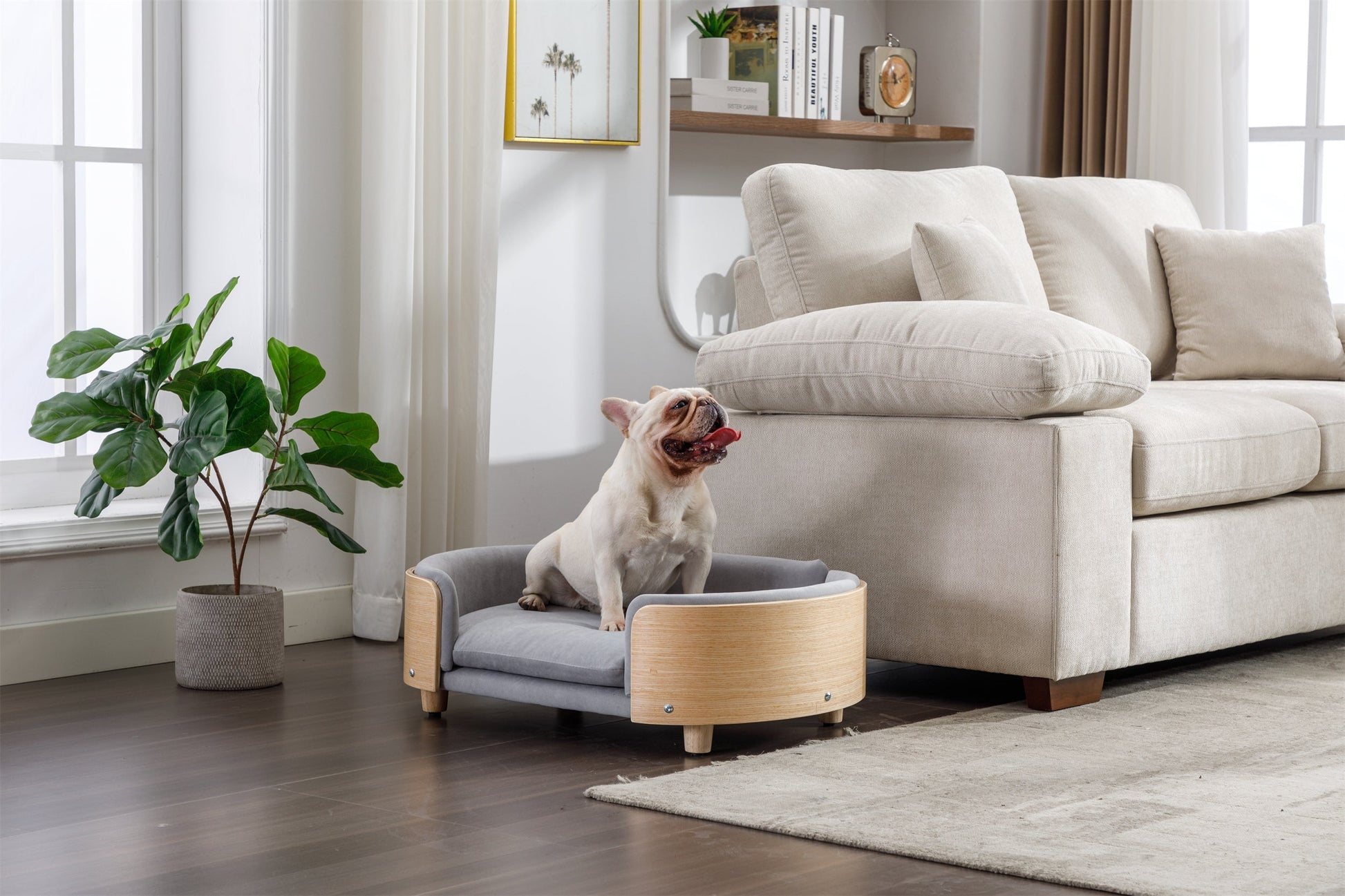 Scandinavian elevated dog bed with a velvet cushion, selected by LAVORA