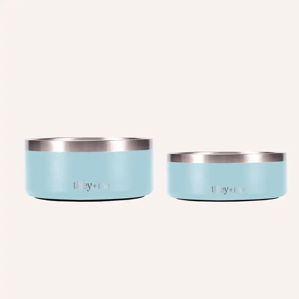 Light blue stainless steel pet bowl for a calm modern feeding area