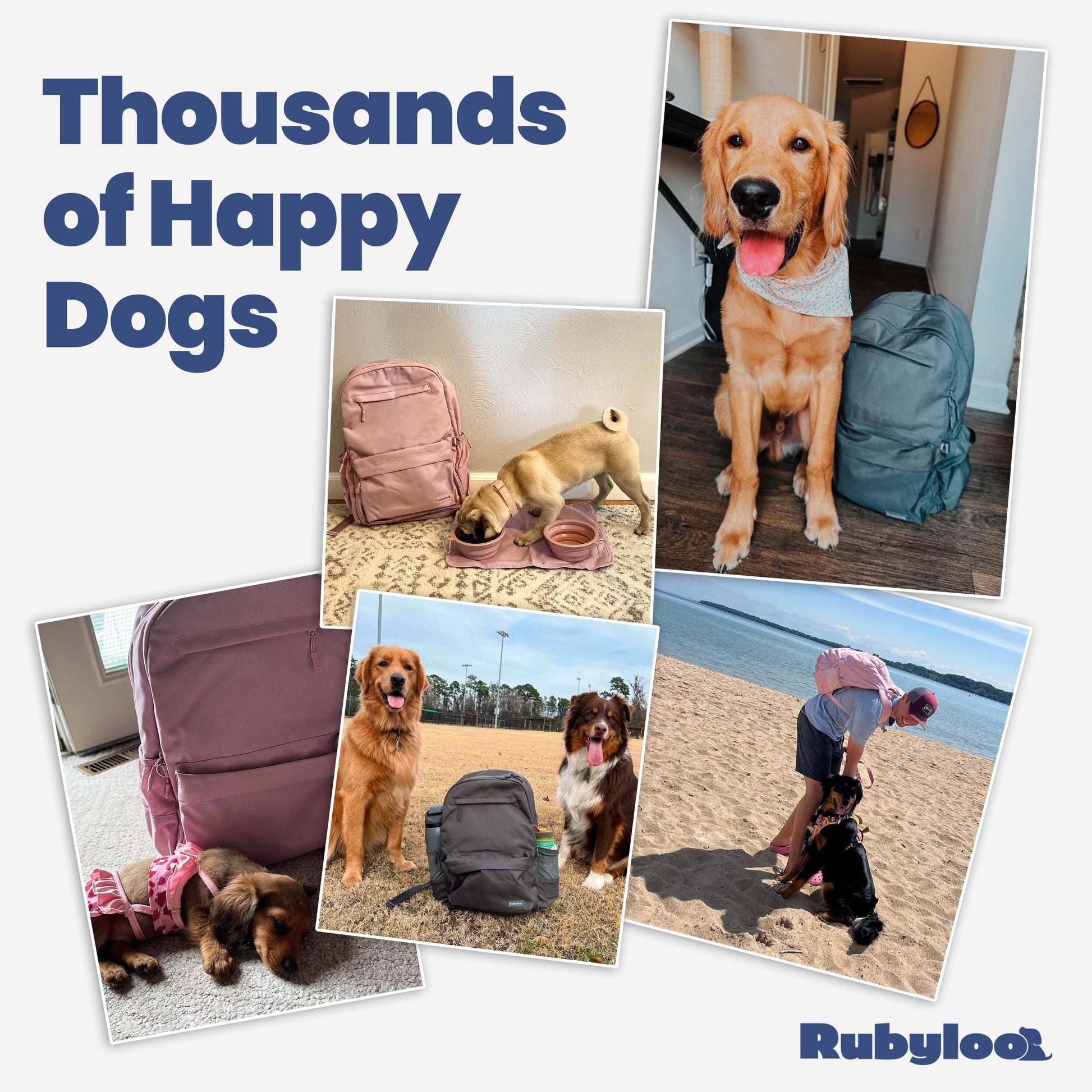Dog travel backpack designed to keep pet supplies organized in one place
