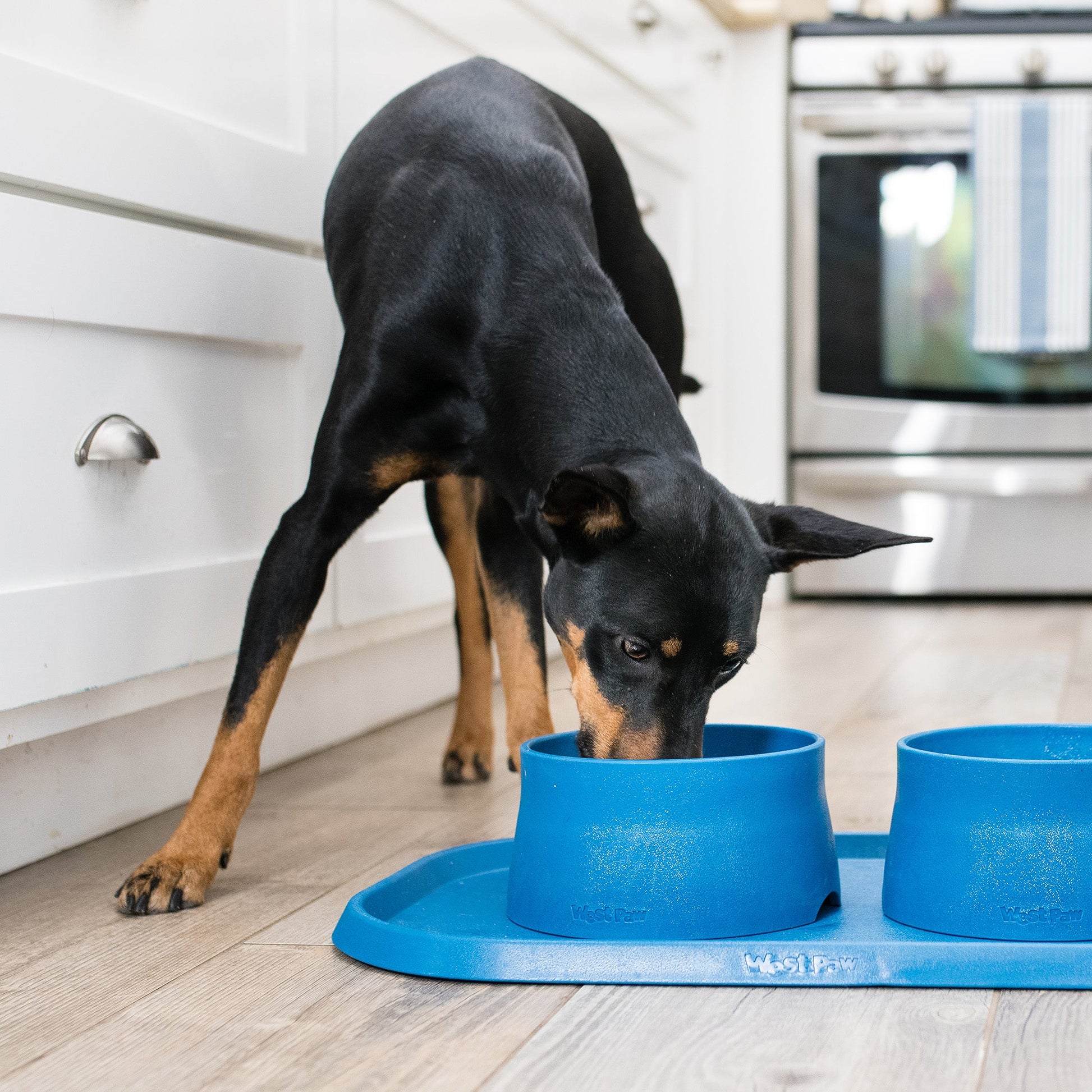 Dog feeding placemat that helps keep bowls stable on hard floors