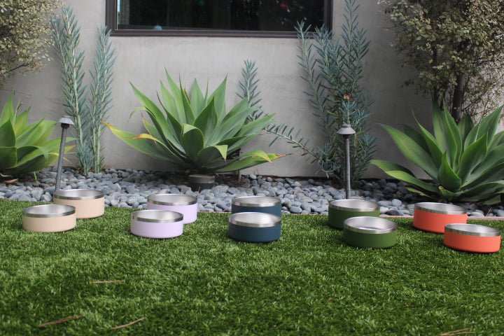 Tilley + Me stainless steel pet bowl for everyday food and water