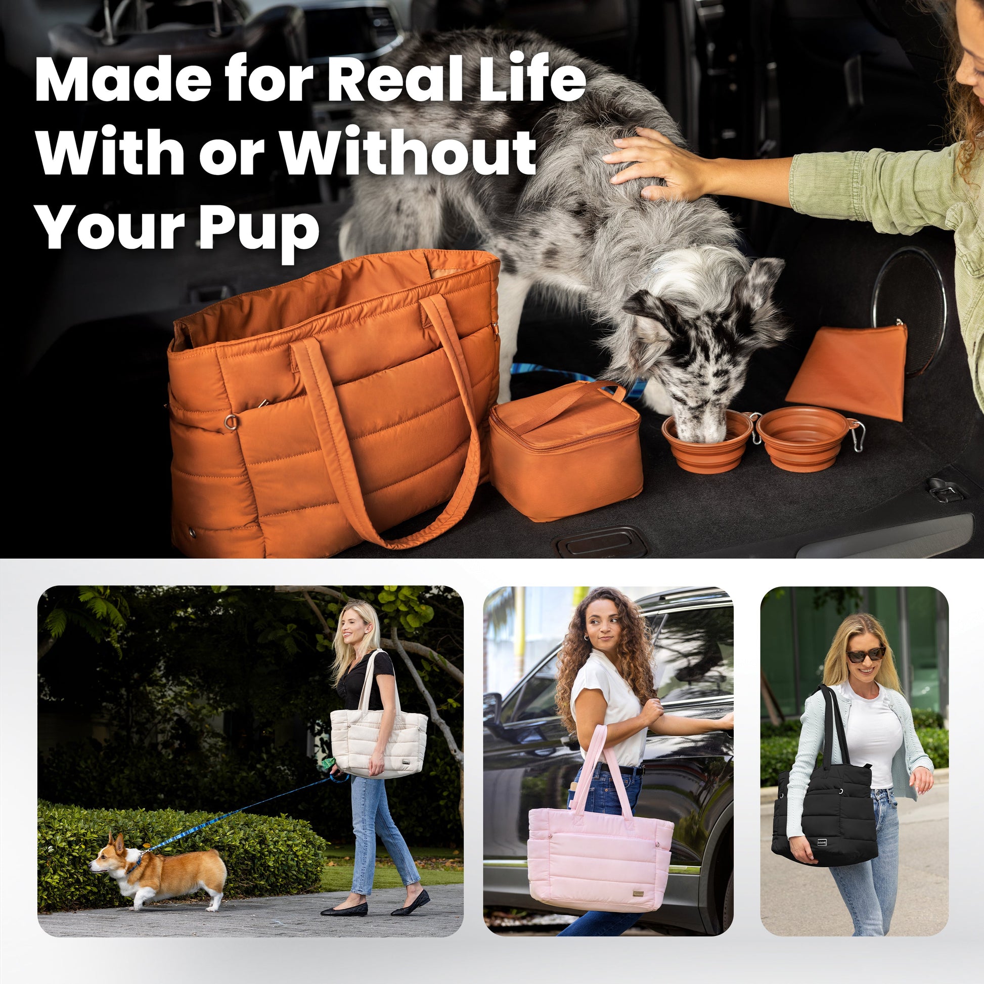 Dog travel bag with a soft quilted exterior and structured interior storage