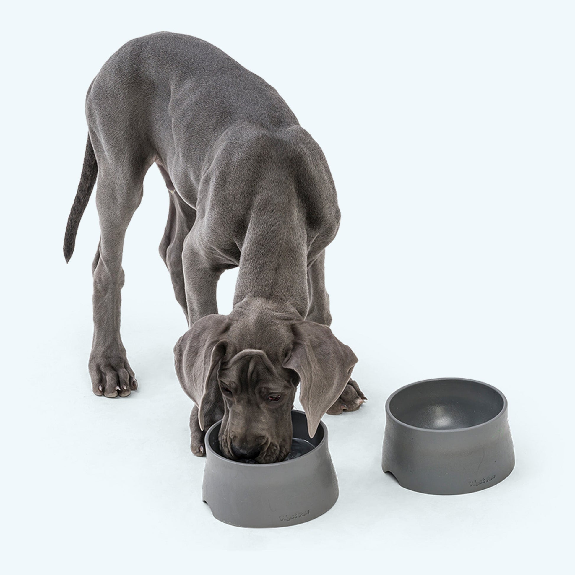 Non-slip dog bowl designed to sit steadily on hard flooring