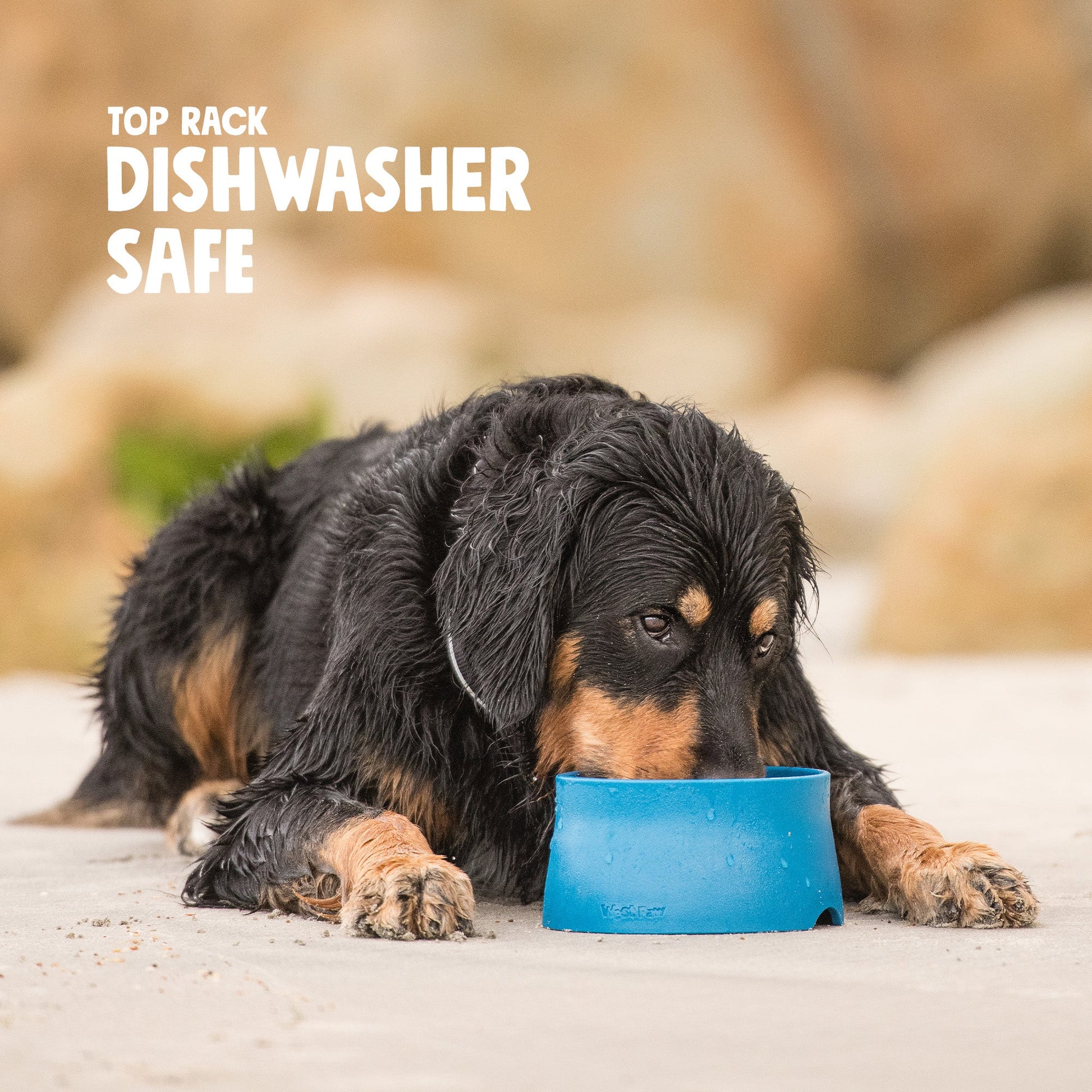 Dishwasher-safe non-slip dog bowl for daily food and water use