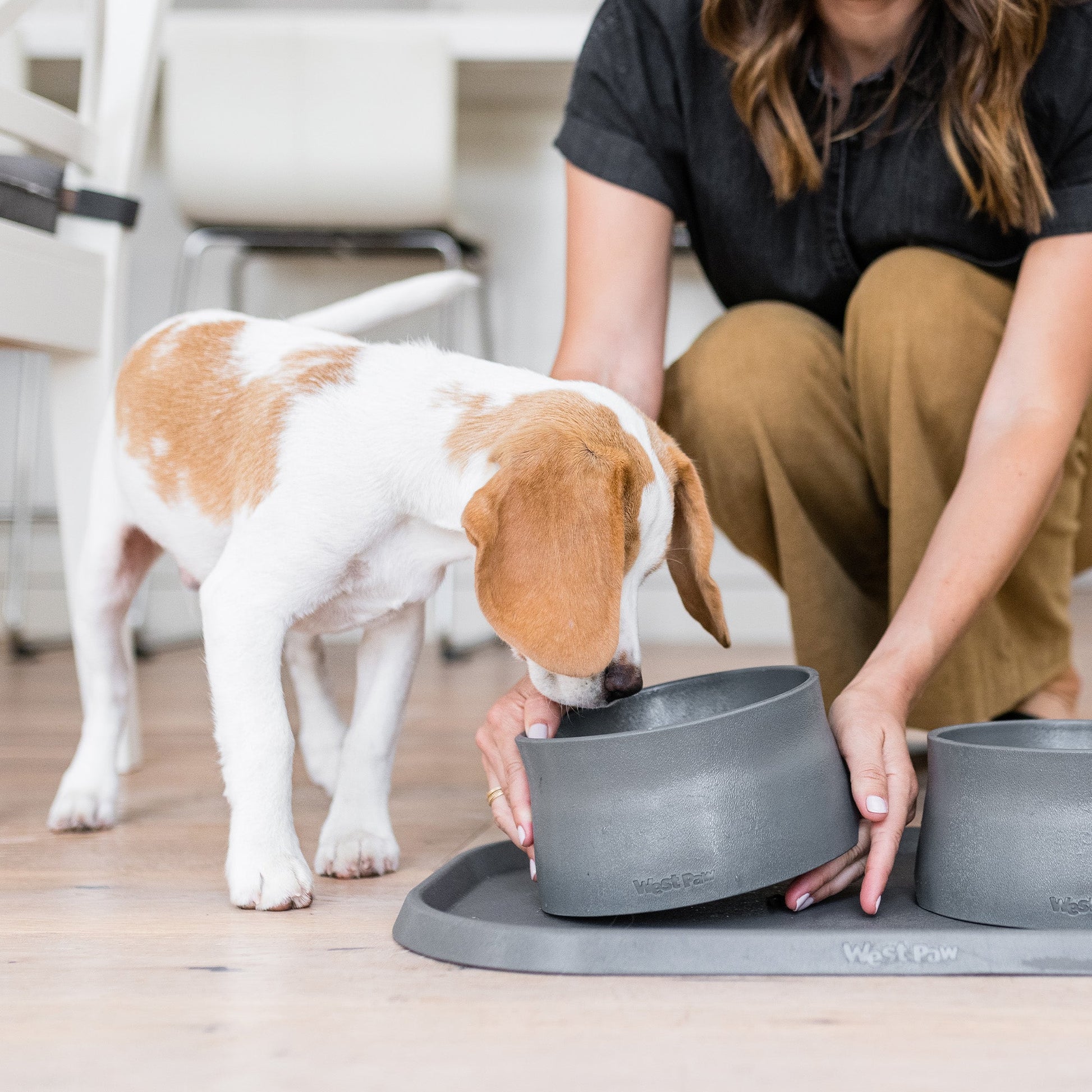 Durable non-slip dog bowl selected by LAVORA for The Feeding Corner