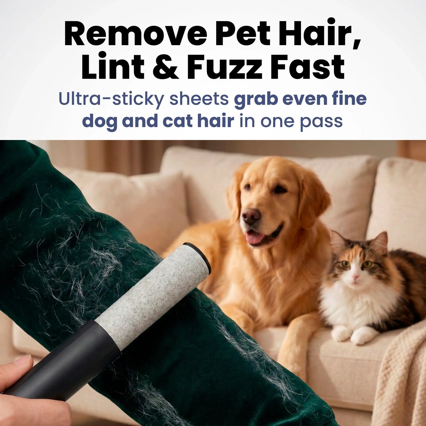 Compact pet hair remover sized for a bag, desk, or car