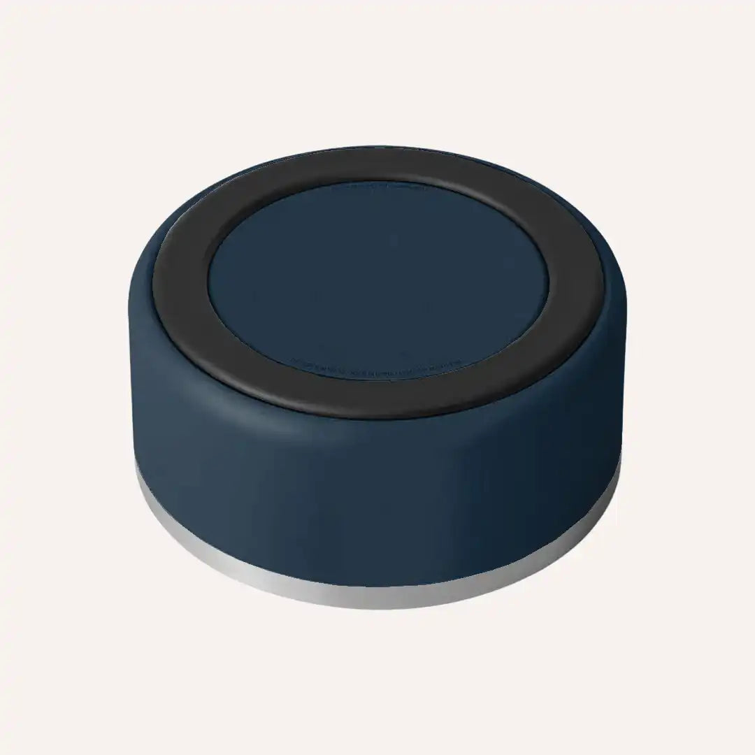 Indigo stainless steel pet bowl with a home-friendly colour finish