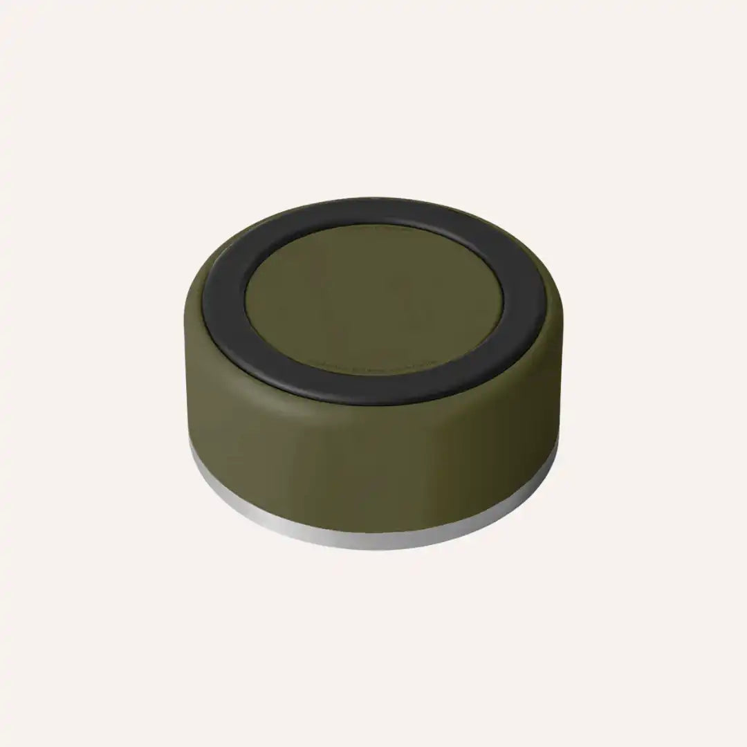 Green non-slip stainless steel pet bowl, dishwasher safe