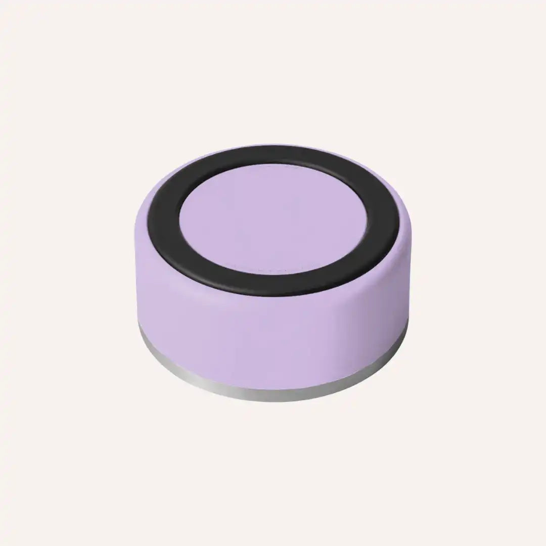 Lilac non-slip stainless steel pet bowl, dishwasher safe