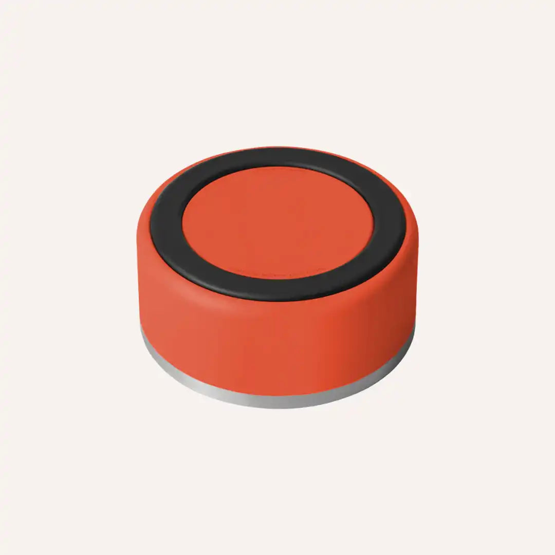 Orange non-slip stainless steel pet bowl for everyday feeding