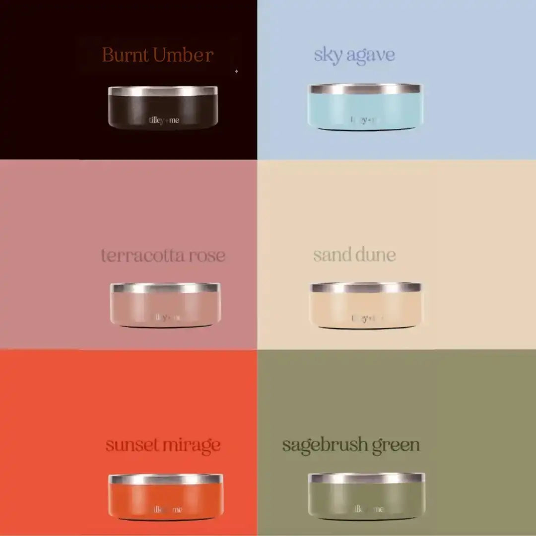 Tilley + Me stainless steel pet bowl selected by LAVORA for The Feeding Corner