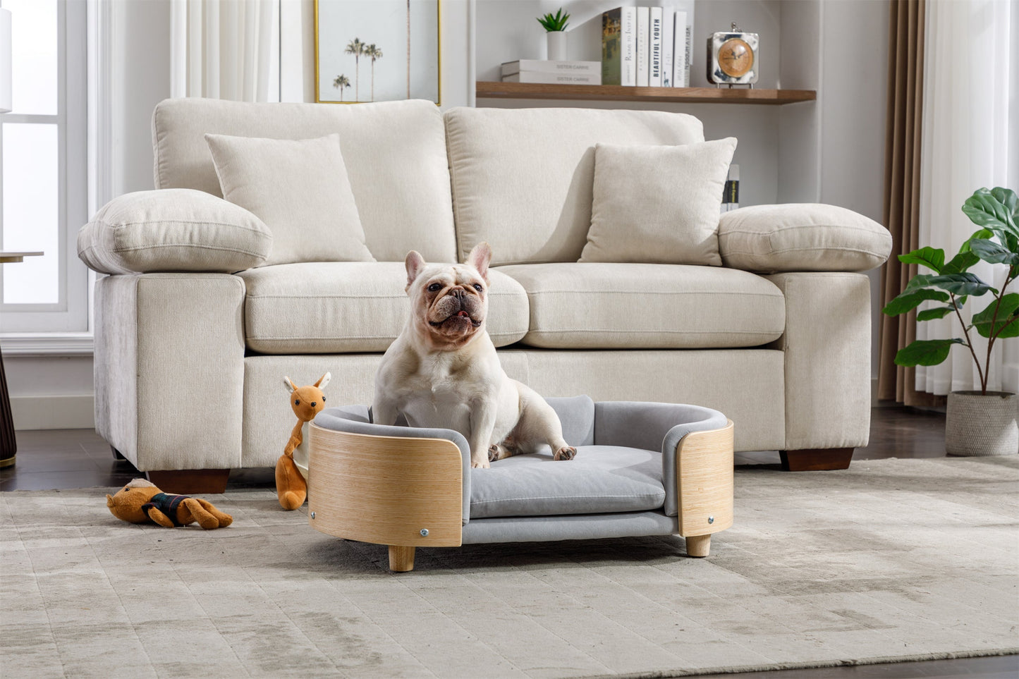 Elevated dog bed for small pets with a soft velvet cushion