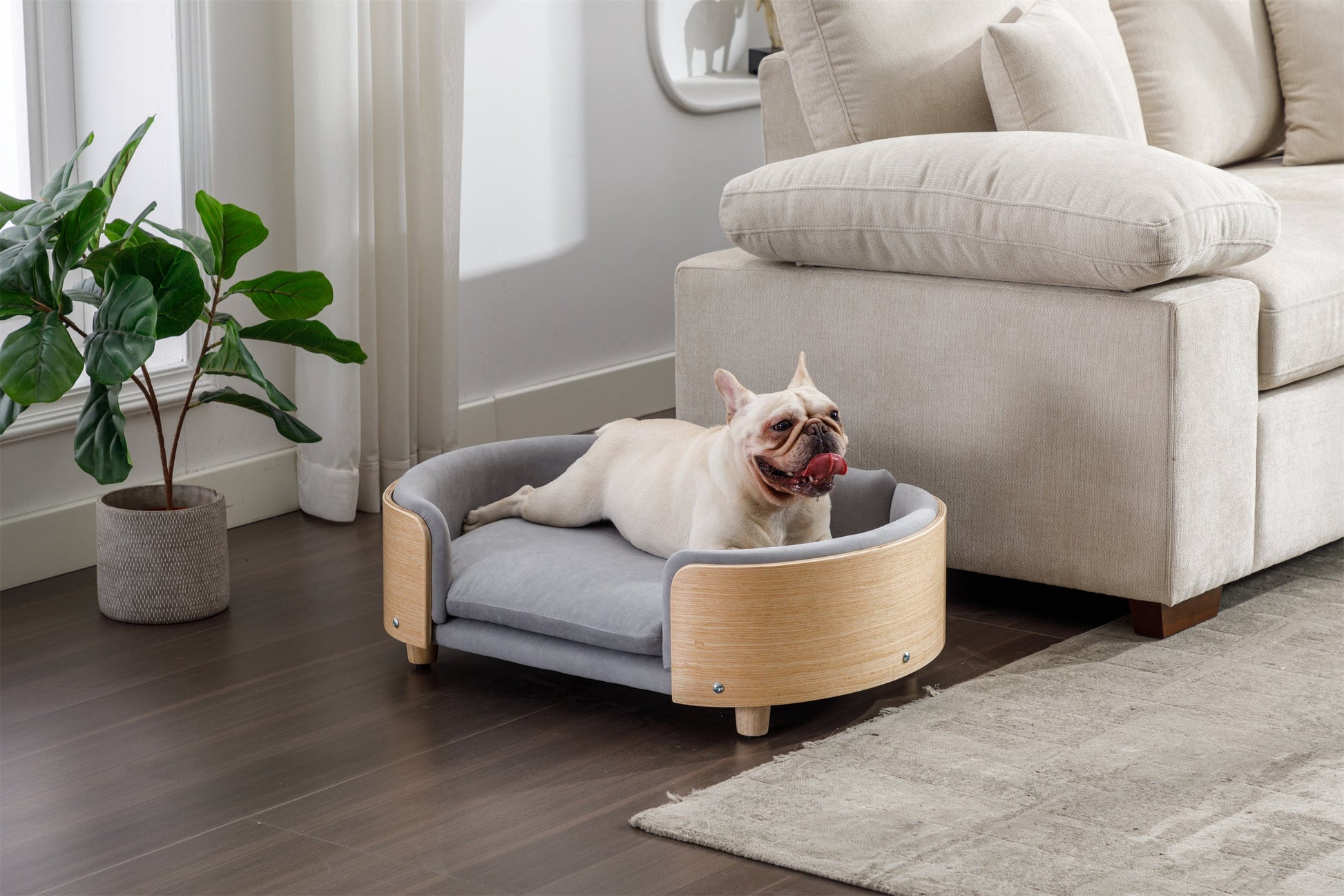 Elevated dog bed with wooden legs that reads as furniture in a modern room