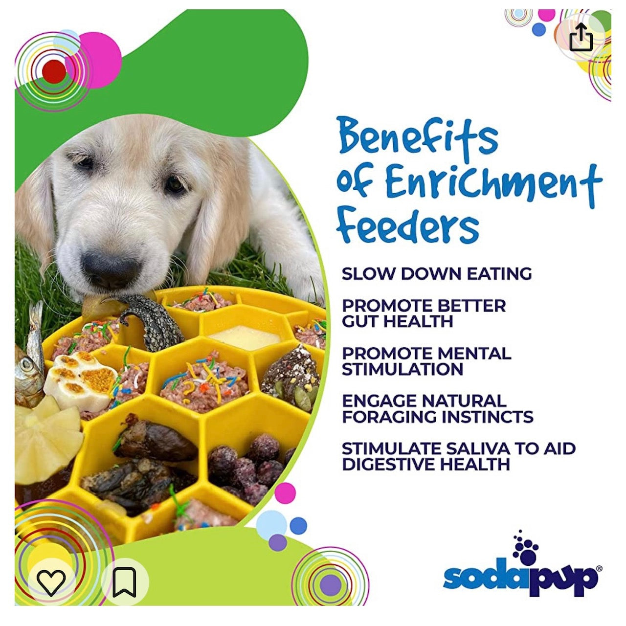 Honeycomb eBowl slow feeder for calmer, longer mealtimes