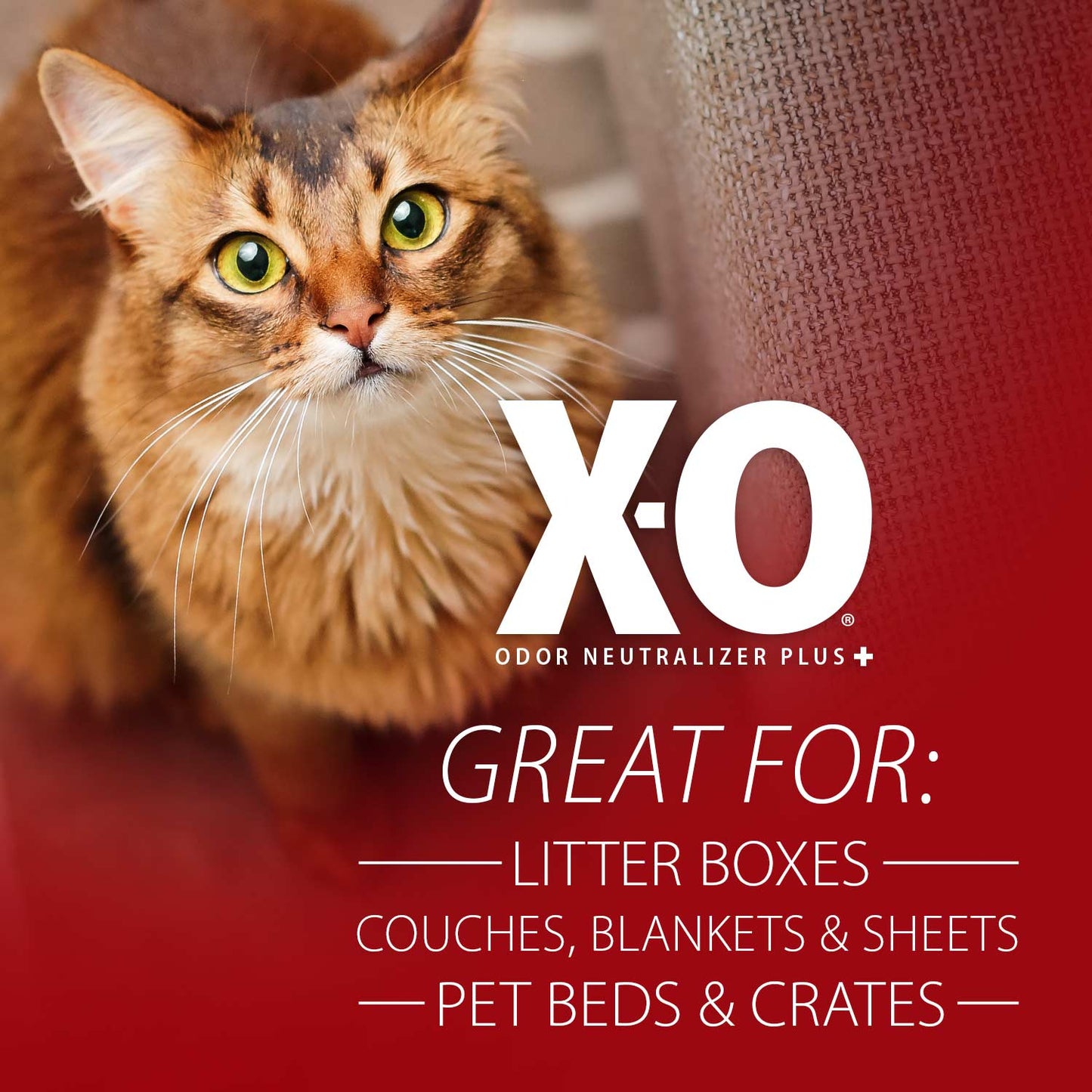 X-O odor neutralizer concentrate selected by LAVORA for the Clean Home collection