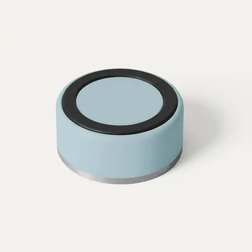 Light blue stainless steel pet bowl styled for a modern home
