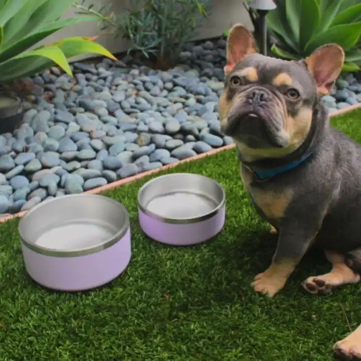 Tilley + Me stainless steel dog bowls for a clean feeding corner