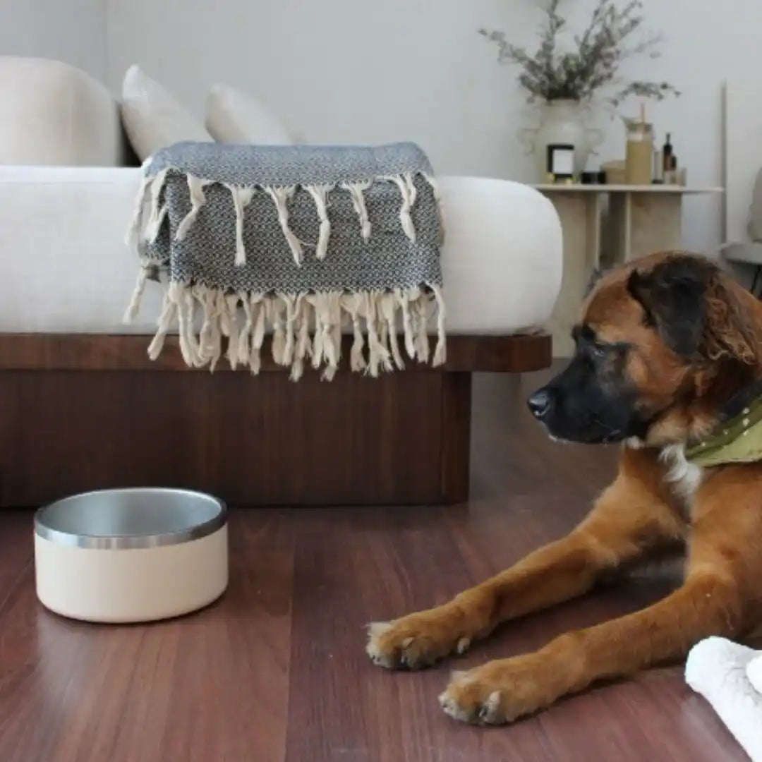 Tilley + Me stainless steel food and water bowl for daily use